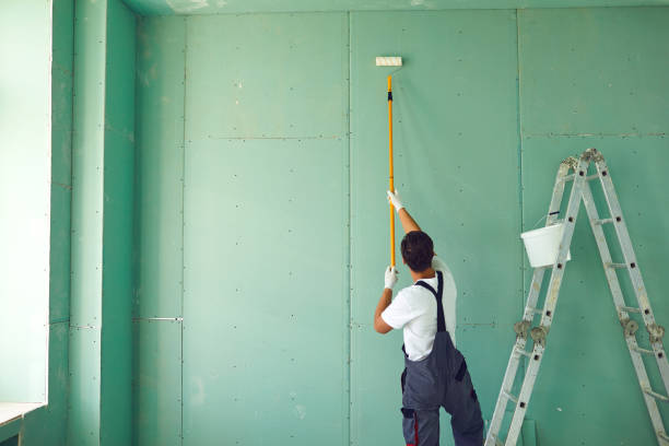 Mold Documentation for Insurance Claims in Cavalier, ND
