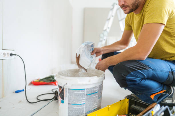 Best Basement Mold Removal  in Cavalier, ND