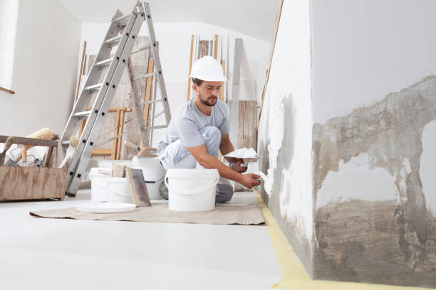 Best Environmental Consulting for Mold Prevention  in Cavalier, ND
