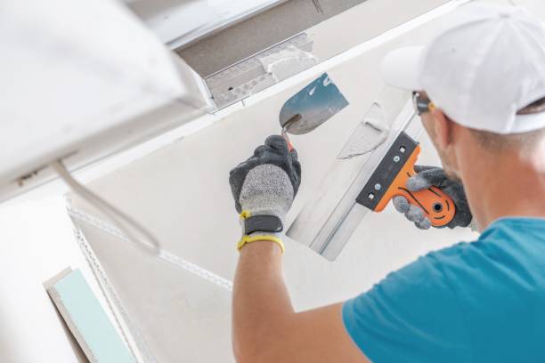 Best Crawl Space Mold Remediation  in Cavalier, ND